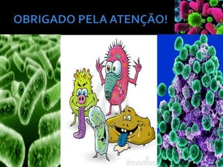 Apresentação bactérias