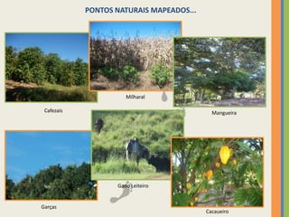 PONTOS FÍSICOS MAPEADOS...Igreja de Santa LuziaSítio Santo AndréNúcleo Santa LuziaMata BurroGranjas