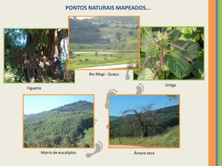 PONTOS NATURAIS MAPEADOS...Rio Mogi - GuaçuUrtigaFigueiraMorro de eucaliptosÁrvore seca