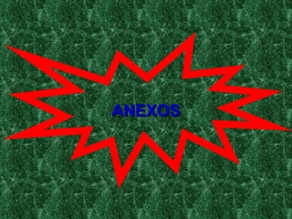 ANEXOS 
