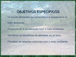 OBJETIVOS ESPECIFICOS Vivenciar atividades de forma lúdica e cooperativa no meio ambiente; Proporcionar a socialização com o meio ambiente;  Identificar os benefícios da atividade ao ar livre; Perceber as relações corporais com o meio ambiente. 