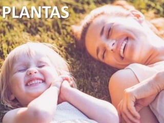 PLANTAS
 
