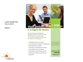E-MAIL MARKETING  Peça conceito Opção 2 