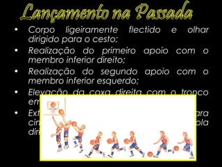 •
         Lançamento Livre
    Corpo ligeiramente flectido   e   olhar
    dirigido para o cesto;
•   Realização do primeiro apoio com o
    membro inferior direito;
•   Realização do segundo apoio com o
    membro inferior esquerdo;
•   Elevação da coxa direita com o tronco
    em equilíbrio;
•   Extensão dos membros superiores para
    cima, com flexão do pulso e bola
    dirigida/tabela;
 