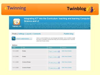 Twinblog 
