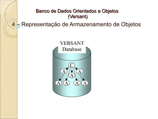 Banco de Dados Orientados a Objetos
                     (Versant)
4 – Representação de Armazenamento de Objetos
 