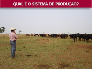QUAL É O SISTEMA DE PRODUÇÃO?
 