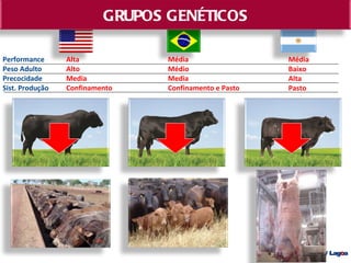 GRUPOS GENÉTICOS

Performance      Alta            Média                  Média
Peso Adulto      Alto            Médio                  Baixo
Precocidade      Media           Media                  Alta
Sist. Produção   Confinamento    Confinamento e Pasto   Pasto
 