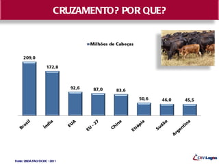 CRUZAMENTO? POR QUE?




Fonte: USDA/FAO/OCDE - 2011
 