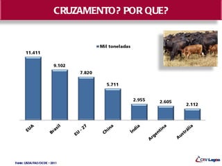 CRUZAMENTO? POR QUE?




Fonte: USDA/FAO/OCDE - 2011
 