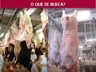 O QUE SE BUSCA?


•   Redução da idade de abate
     -   Novilho jovem de 15 a 24 meses


•   Redução da idade ao primeiro parto
      - precocidade sexual e fertilidade


    el ia     l de     rç
c) M hor naquaida de cacaa
     -Precocida de a ba o, ma e mamor
               de ca ment ciez r eio
 