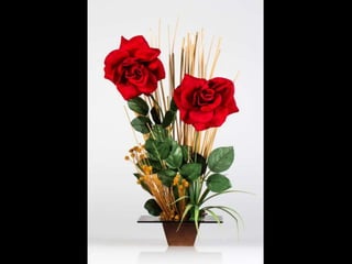 Apresentação behance sem trasação