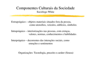 Componentes Culturais da Sociedade
                        Sociólogo White


Extrapsíquico – objetos materiais situados fora da pessoa,
                 como utensílios, veículos, edifícios, símbolos

Intrapsíquico – interiorizações nas pessoas, com crenças,
                 valores, normas, conhecimentos e habilidades

Interpsíquico – decorrentes das interações sociais, como
                 emoções e sentimentos


      Organizações: Tecnologia, preceito e caráter (Souza)
 