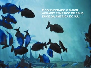 É CONSIDERADO O MAIOR
AQUARIO TEMÁTICO DE ÁGUA
DOCE DA AMÉRICA DO SUL.
 