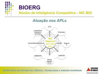 ApresentaçãO Bioerg Slides