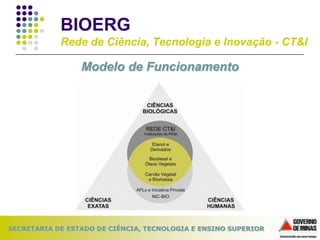 ApresentaçãO Bioerg Slides