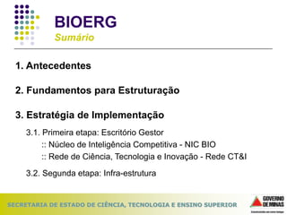 ApresentaçãO Bioerg Slides