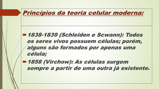 Princípios da teoria celular moderna:
1838-1839 (Schleiden e Scwann): Todos
os seres vivos possuem células; porém,
alguns são formados por apenas uma
célula;
1858 (Virchow): As células surgem
sempre a partir de uma outra já existente.
 