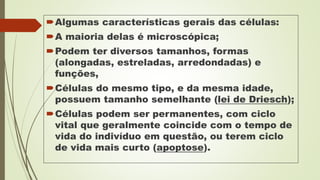 Algumas características gerais das células:
A maioria delas é microscópica;
Podem ter diversos tamanhos, formas
(alongadas, estreladas, arredondadas) e
funções,
Células do mesmo tipo, e da mesma idade,
possuem tamanho semelhante (lei de Driesch);
Células podem ser permanentes, com ciclo
vital que geralmente coincide com o tempo de
vida do indivíduo em questão, ou terem ciclo
de vida mais curto (apoptose).
 