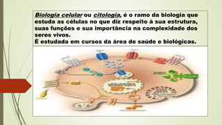 Biologia celular ou citologia, é o ramo da biologia que
estuda as células no que diz respeito à sua estrutura,
suas funções e sua importância na complexidade dos
seres vivos.
É estudada em cursos da área de saúde e biológicas.
 