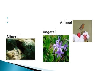 
 Animal
Vegetal
Mineral
 