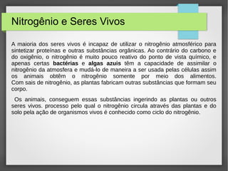 Biologia nitrogénio Ciclos do nitrogenio | ODP