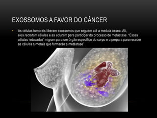 EXOSSOMOS A FAVOR DO CÂNCER
• As células tumorais liberam exossomos que seguem até a medula óssea. Ali,
eles recrutam células e as educam para participar do processo de metástase. “Essas
células ‘educadas’ migram para um órgão específico do corpo e o prepara para receber
as células tumorais que formarão a metástase”
 