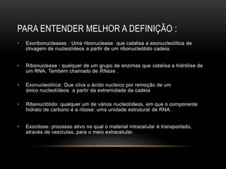 PARA ENTENDER MELHOR A DEFINIÇÃO :
• Exoribonucleases : Uma ribonuclease que catalisa a exonucleolítica de
clivagem de nucleotídeos a partir de um ribonucleótido cadeia.
• Ribonuclease : qualquer de um grupo de enzimas que catalisa a hidrólise de
um RNA. Também chamado de RNase .
• Exonucleolitíca: Que cliva o ácido nucleico por remoção de um
único nucleotídeos a partir da extremidade da cadeia
• Ribonuclótido: qualquer um de vários nucleotídeos, em que o componente
hidrato de carbono é a ribose: uma unidade estrutural de RNA.
• Exocitose: processo ativo no qual o material intracelular é transportado,
através de vesículas, para o meio extracelular.
 