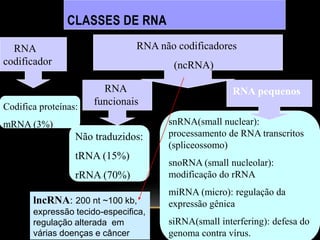 CLASSES DE RNA
RNA
codificador
Codifica proteínas:
mRNA (3%)
RNA
funcionais
Não traduzidos:
tRNA (15%)
rRNA (70%)
RNA não codificadores
(ncRNA)
snRNA(small nuclear):
processamento de RNA transcritos
(spliceossomo)
snoRNA (small nucleolar):
modificação do rRNA
miRNA (micro): regulação da
expressão gênica
siRNA(small interfering): defesa do
genoma contra vírus.
RNA pequenos
lncRNA: 200 nt ~100 kb,
expressão tecido-especifica,
regulação alterada em
várias doenças e câncer
 