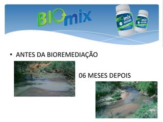 • ANTES DA BIOREMEDIAÇÃO

                  06 MESES DEPOIS
 