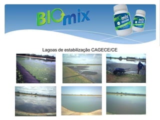 Lagoas de estabilização CAGECE/CE
 