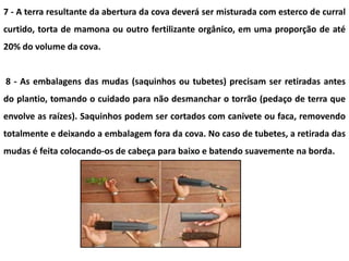 7 - A terra resultante da abertura da cova deverá ser misturada com esterco de curral
curtido, torta de mamona ou outro fertilizante orgânico, em uma proporção de até
20% do volume da cova.
8 - As embalagens das mudas (saquinhos ou tubetes) precisam ser retiradas antes
do plantio, tomando o cuidado para não desmanchar o torrão (pedaço de terra que
envolve as raízes). Saquinhos podem ser cortados com canivete ou faca, removendo
totalmente e deixando a embalagem fora da cova. No caso de tubetes, a retirada das
mudas é feita colocando-os de cabeça para baixo e batendo suavemente na borda.
 