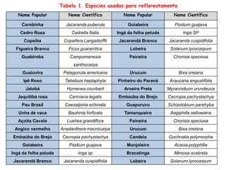 Nome Popular Nome Científico Nome Popular Nome Científico
Carobinha Jacaranda puberula Goiabeira Psidium guajava
Cedro Rosa Cedrella fisilis Ingá da folha peluda Inga SP
Copaíba Copaifera Langsdorffii Jacarandá Branco Jacaranda cuspidifolia
Figueira Branca Ficus guaranítica Lobeira Solanum lycocarpum
Guabiroba Campomanesia
xanthocarpa
Paineira Chorisia speciosa
Guaiuvira Patagonula americana Urucum Bixa orelana
Ipê Roxo Tabebuia heptaphyla Pinheiro do Paraná Araucária angustifólia
Jatobá Hymenea courbaril Aroeira Preta Myracroduon urundeuva
Jequitibá rosa Cariniana legalis Embaúba do Brejo Cecropia pachystachya
Pau Brasil Caesalpinia echinata Guapuruvu Schizolobium parahyba
Unha de vaca Bauhinia forficata Tamanqueiro Aegiphilla sellowiana
Açoita Cavalo Luehea grandiflora Paineira Chorisia speciosa
Angico vermelho Anadanthera macrocarpa Urucum Bixa orelana
Embaúba do Brejo Cecropia pachystachya Candeia Gochnatia polymorpha
Goiabeira Psidium guajava Monjoleiro Acacia polyphilla
Ingá da folha peluda Inga sp Bracatinga Mimosa scabrela
Jacarandá Branco Jacaranda cuspidifolia Lobeira Solanum lycocarpum
Tabela 1. Espécies usadas para reflorestamento
 