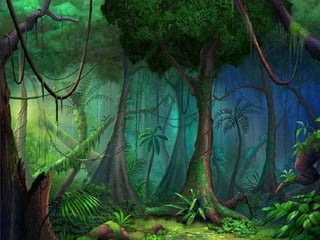 Apresentação boletim