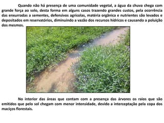 Quando não há presença de uma comunidade vegetal, a água da chuva chega com
grande força ao solo, desta forma em alguns casos trazendo grandes custos, pela ocorrência
das enxurradas a sementes, defensivos agrícolas, matéria orgânica e nutrientes são levados e
depositados em reservatórios, diminuindo a vazão dos recursos hídricos e causando a poluição
dos mesmos.
No interior das áreas que contam com a presença das árvores os raios que são
emitidos que pelo sol chegam com menor intensidade, devido a interceptação pela copa dos
maciços florestais.
 