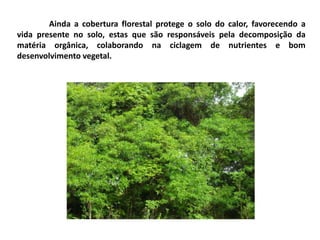 Ainda a cobertura florestal protege o solo do calor, favorecendo a
vida presente no solo, estas que são responsáveis pela decomposição da
matéria orgânica, colaborando na ciclagem de nutrientes e bom
desenvolvimento vegetal.
 