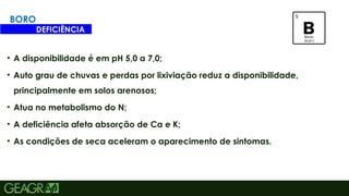 19
• A disponibilidade é em pH 5,0 a 7,0;
• Auto grau de chuvas e perdas por lixiviação reduz a disponibilidade,
principalmente em solos arenosos;
• Atua no metabolismo do N;
• A deficiência afeta absorção de Ca e K;
• As condições de seca aceleram o aparecimento de sintomas.
BORO
DEFICIÊNCIA
 