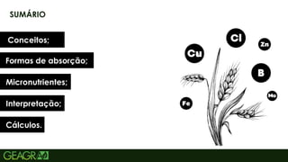 2
SUMÁRIO
Conceitos;
Formas de absorção;
Micronutrientes;
Interpretação;
Cálculos.
 