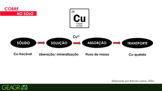 24
COBRE
NO SOLO
Elaborado por Brenda Larissa, 2024.
SÓLIDO SOLUÇÃO ABSORÇÃO TRANSPORTE
Cu-trocável Liberação/ mineralização Fluxo de massa Cu-quelato
Cu²+
 