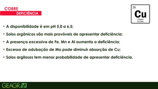 27
• A disponibilidade é em pH 5,0 a 6,5;
• Solos orgânicos são mais prováveis de apresentar deficiência;
• A presença excessiva de Fe, Mn e Al aumenta a deficiência;
• Excesso de adubação de Mo pode diminuir absorção de Cu;
• Solos argilosos tem menor probabilidade de apresentar deficiência.
COBRE
DEFICIÊNCIA
 