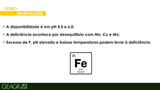 31
• A disponibilidade é em pH 4,0 a 6,0;
• A deficiência acontece por desequilíbrio com Mn, Cu e Mo;
• Excesso de P, pH elevado e baixas temperaturas podem levar à deficiência.
FERRO
OBSERVAÇÕES
 