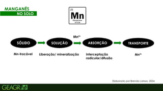 36
MANGANÊS
NO SOLO
Elaborado por Brenda Larissa, 2024.
SÓLIDO SOLUÇÃO ABSORÇÃO TRANSPORTE
Mn-trocável Liberação/ mineralização Interceptação
radicular/difusão
Mn³+
Mn³+
 