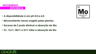 48
• A disponibilidade é em pH 4,0 a 6,0;
• Micronutriente menos exigido pelas plantas;
• Excesso de S pode diminuir a absorção de Mo;
• Cl-, Cu²+, Mn²+ e Zn²+ inibe a absorção de Mo.
MOLIBDÊNIO
DEFICIÊNCIA
 
