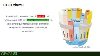 5
LEI DO MÍNIMO
Fontes: Vitas Brasil, 2024.
A produção de uma cultura é limitada pelo
nutriente que está em menor disponibilidade no
solo, ainda que todos os outros elementos
estejam disponíveis e na quantidade
adequada.
 