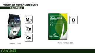 55
FONTES DE MICRONUTRIENTES
ADUBAÇÃO
Fonte: ICL, 2024. Fonte: Fert Bela, 2024.
 