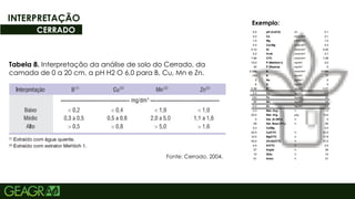 57
INTERPRETAÇÃO
CERRADO
Tabela 8. Interpretação da análise de solo do Cerrado, da
camada de 0 a 20 cm, a pH H2 O 6,0 para B, Cu, Mn e Zn.
Fonte: Cerrado, 2004.
Exemplo:
 