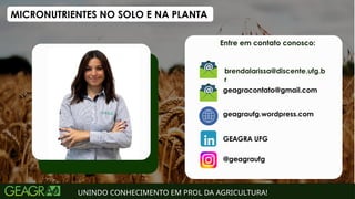 UNINDO CONHECIMENTO EM PROL DA AGRICULTURA!
MICRONUTRIENTES NO SOLO E NA PLANTA
brendalarissa@discente.ufg.b
r
 