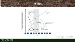 7
PH IDEAL
Fonte: Nutrição de safras, 2024.
 