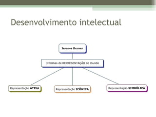 Desenvolvimento intelectual 