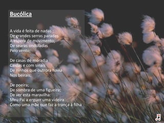 Bucólica

A vida é feita de nadas :
De grandes serras paradas
À espera de movimento;
De searas onduladas
Pelo vento;

De casas de moradia
Caidas e com sinais
De ninhos que outrora havia
Nos beirais;

De poeira;
De sombra de uma figueira;
De ver esta maravilha:
Meu Pai a erguer uma videira
Como uma mãe que faz a trança à filha
 